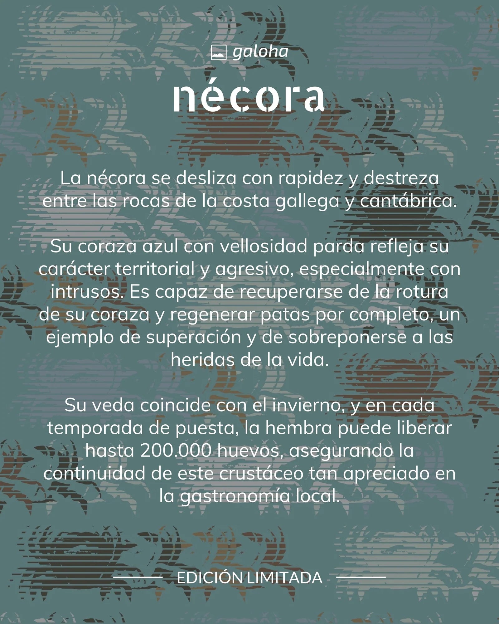 Camisa de hombre de manga corta con estampado de nécoras (cangrejos) en tonos azules y tierra, botones de madera de olivo y tejido fluido de algodón orgánico.