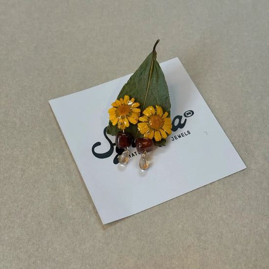 Pendientes Crisantemo de Syringa Jewels en su caja, con
ficha botánica: Glebionis coronaria recogida en Nigrán.