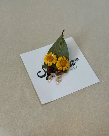 Pendientes Crisantemo de Syringa Jewels en su caja, con
ficha botánica: Glebionis coronaria recogida en Nigrán.