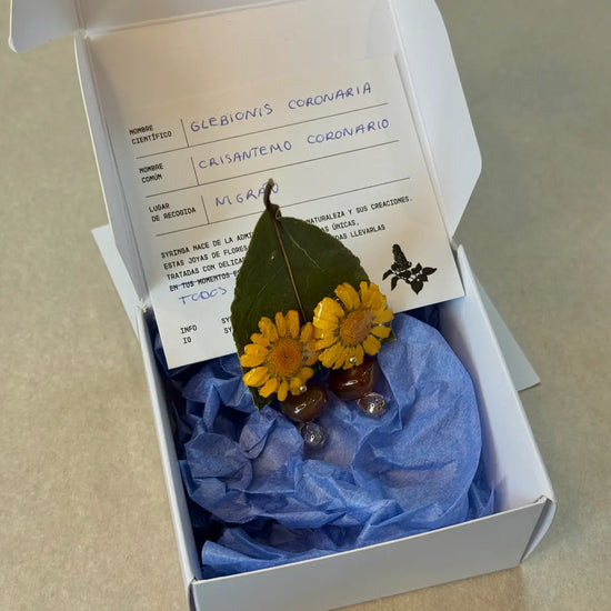Pendientes Crisantemo de Syringa Jewels en su caja, con
ficha botánica: Glebionis coronaria recogida en Nigrán.