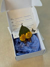 Pendientes Crisantemo de Syringa Jewels en su caja, con
ficha botánica: Glebionis coronaria recogida en Nigrán.