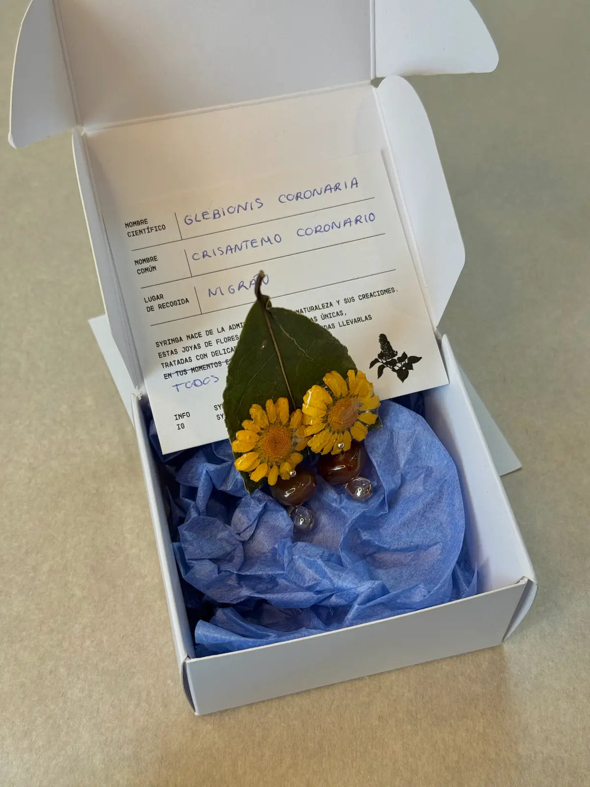 Pendientes Crisantemo de Syringa Jewels en su caja, con
ficha botánica: Glebionis coronaria recogida en Nigrán.