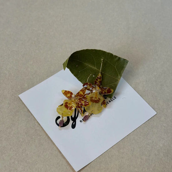 Pendientes Dama Danzante de Syringa Jewels: orquídea
Oncidium amarilla y burdeos encapsulada en resina UV.