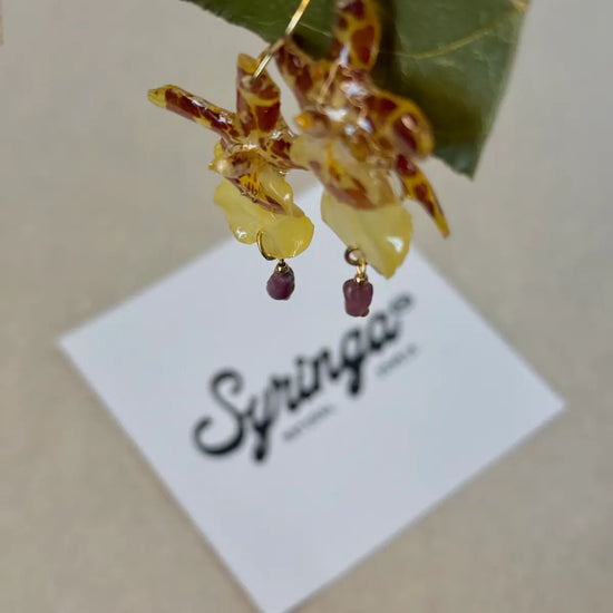 Pendientes Dama Danzante de Syringa Jewels: orquídea
Oncidium amarilla y burdeos encapsulada en resina UV.