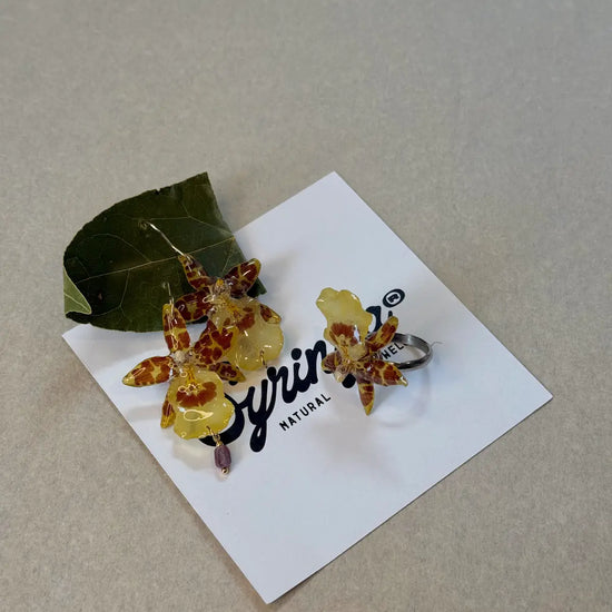 Pendientes Dama Danzante de Syringa Jewels: orquídea
Oncidium amarilla y burdeos encapsulada en resina UV.