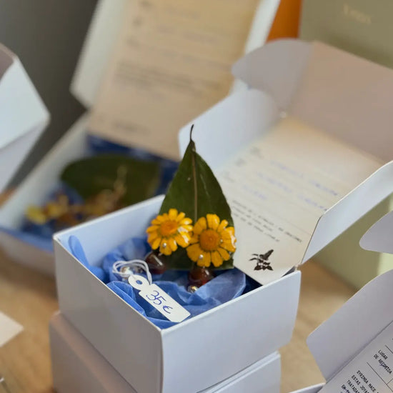 Pendientes Crisantemo de Syringa Jewels en su caja, con
ficha botánica: Glebionis coronaria recogida en Nigrán.