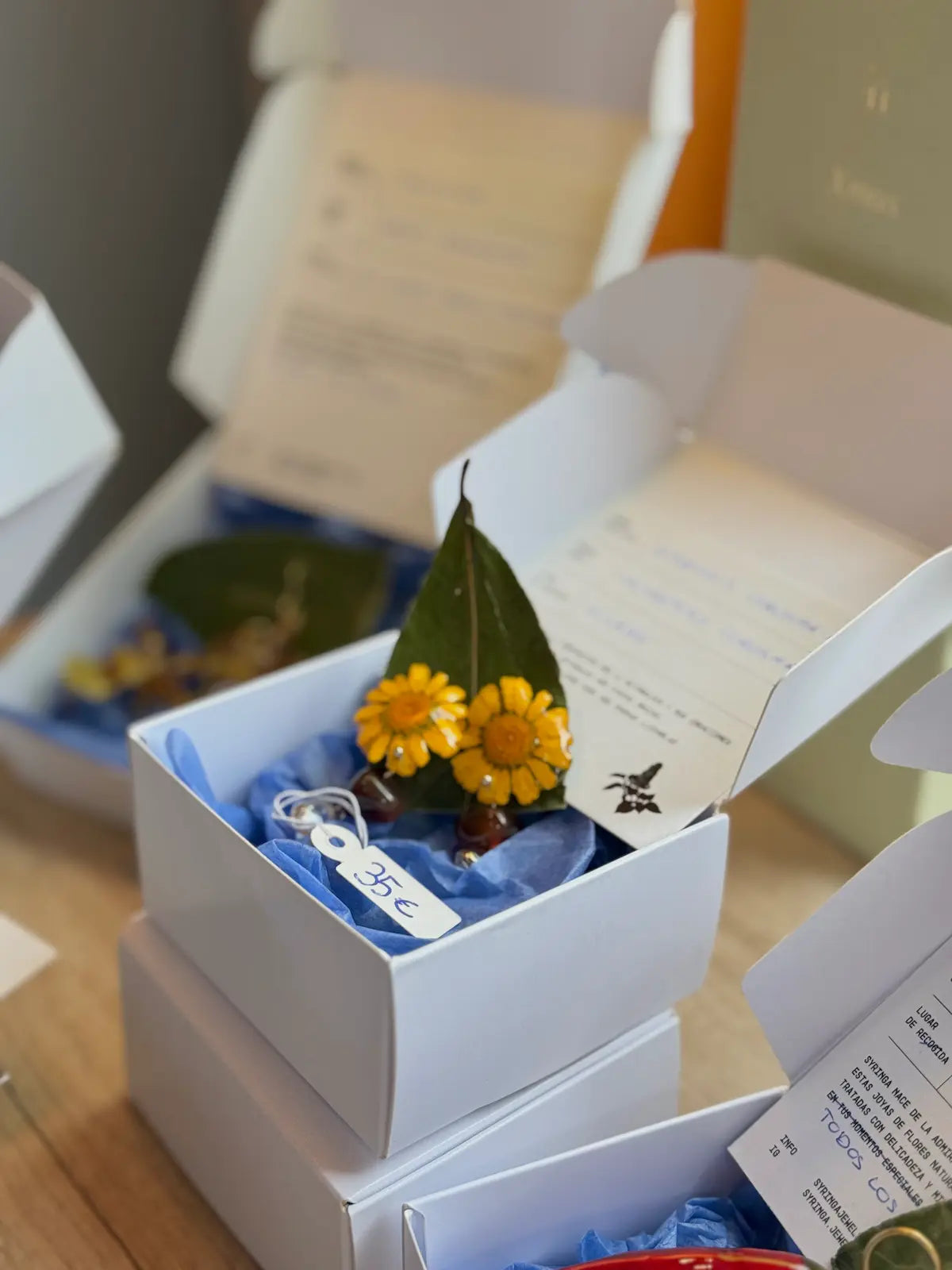 Pendientes Crisantemo de Syringa Jewels en su caja, con
ficha botánica: Glebionis coronaria recogida en Nigrán.