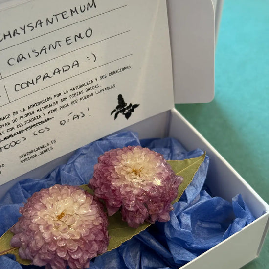Pendientes Crisantemo Pompón de Syringa Jewels: flor en degradado blanco-rosa encapsulada en resina UV.