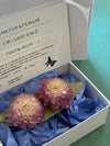 Pendientes Crisantemo Pompón de Syringa Jewels: flor en degradado blanco-rosa encapsulada en resina UV.