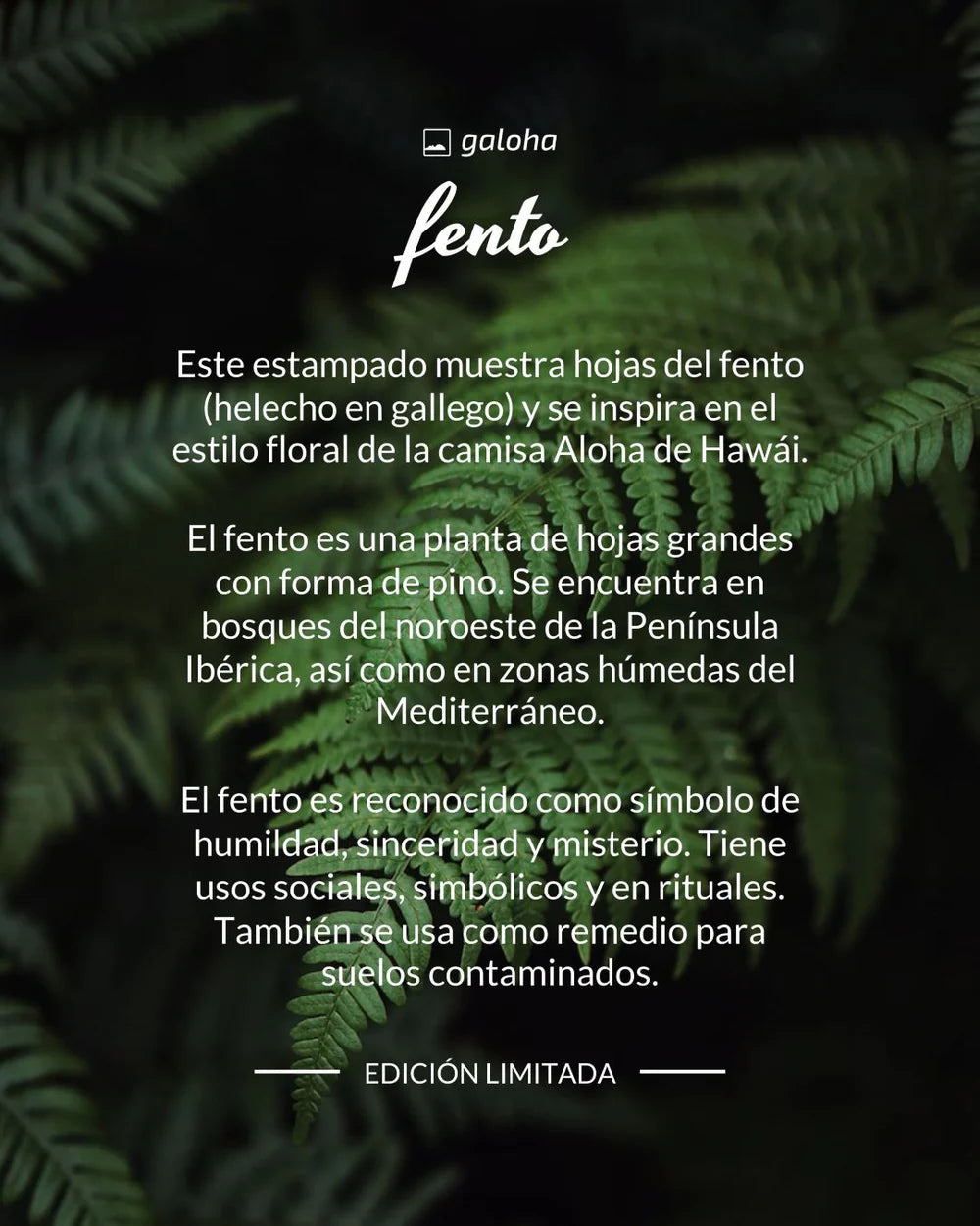 Camisa de hombre de manga corta con estampado de hojas de helecho (fento), botones de madera de olivo y tejido de algodón orgánico de la marca Galoha.