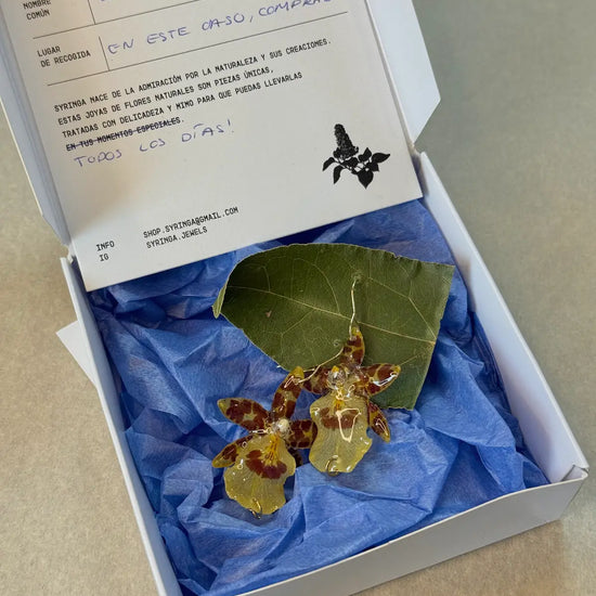 Pendientes Dama Danzante de Syringa Jewels: orquídea
Oncidium amarilla y burdeos encapsulada en resina UV.